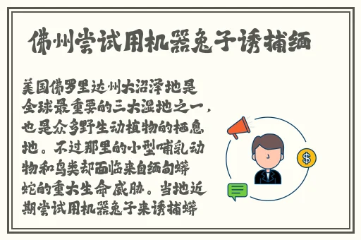 最近中文字幕视频在线MV完整版